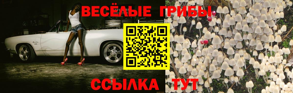Псилоцибиновые грибы MAGIC MUSHROOMS Геленджик